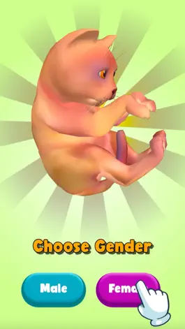 Game screenshot Cat Life Simulator! mod apk