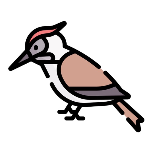 Woodpecker Stickers
