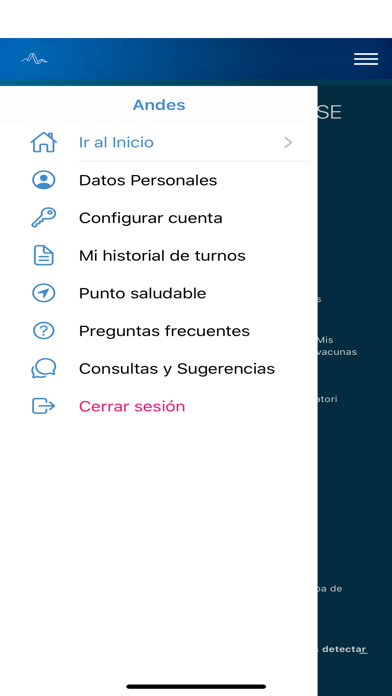 ANDES Neuquén Screenshot