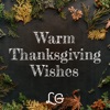 Warm Thanksgiving Wishes icon