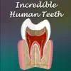 Incredible Human Teeth contact information