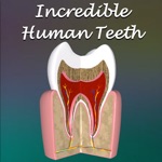 Download Incredible Human Teeth app