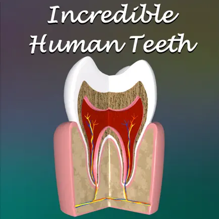 Incredible Human Teeth Читы