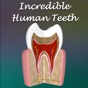 Incredible Human Teeth app download
