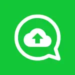 Backup my WA Chats App Problems