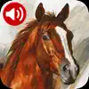 Horse Sounds Ringtones App Feedback