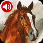 Horse Sounds Ringtones App Cancel