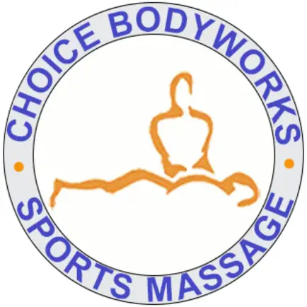 Choice Bodyworks Inc. Читы
