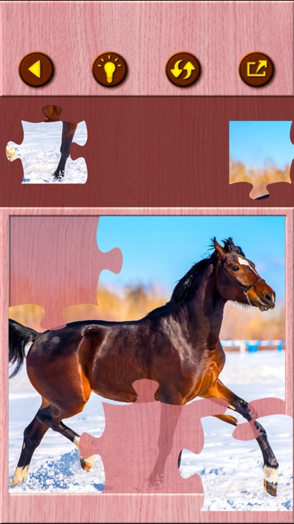 Horse Jigsaw Puzzle Games screenshot-3