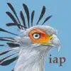 Roberts Bird Guide 2 iap Positive Reviews, comments
