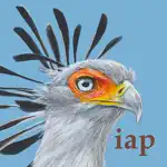 Roberts Bird Guide 2 iap App Problems