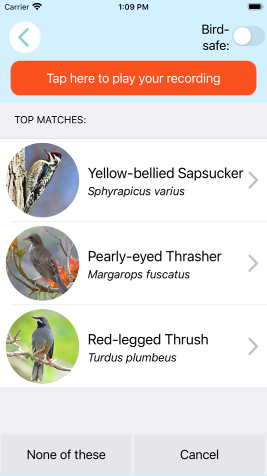 #5. ChirpOMatic Caribbean (iOS) 来自: Spiny Software Ltd