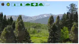 Game screenshot VIOLETsFOREST apk