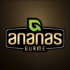 Ananas Gurme icon