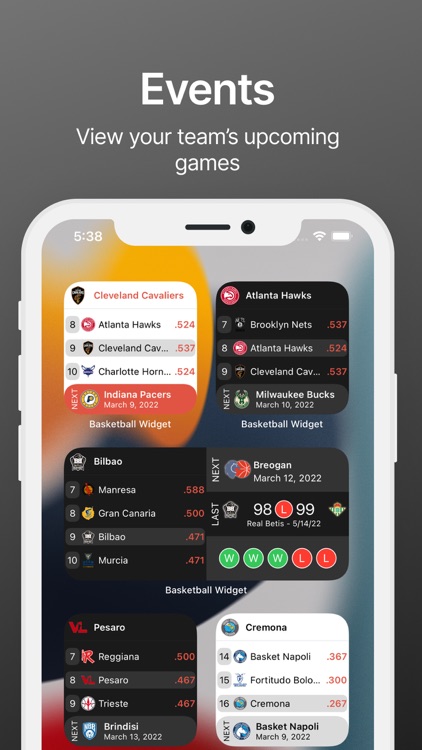 Standings - Basketball Widget