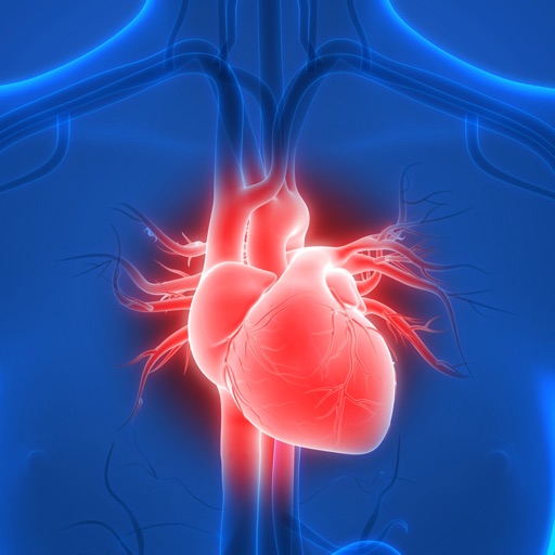 Herz-Kreislaufsystem Test icon