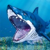 Wild Shark Hunting-Fish Game icon