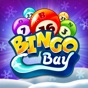 Bingo Bay - Play Bingo Games app download