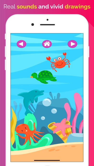 Funny Rattle: Education Game Screenshot