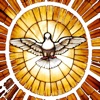 Catholic Spirit icon