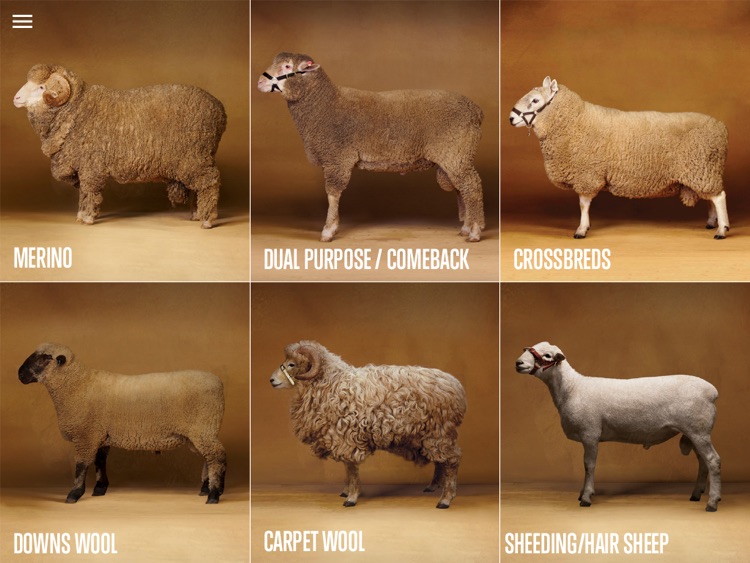 Sheep Breed Compendium by Australian Wool Exchange AWEX Ltd