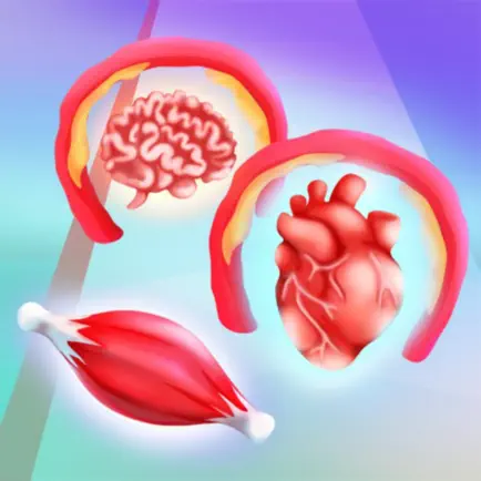 Organ Choice 3D Читы
