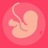 Gestational Age (baby's age) icon
