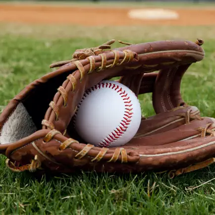 Quick Baseball Scoreboard Читы
