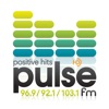 Pulse FM. icon