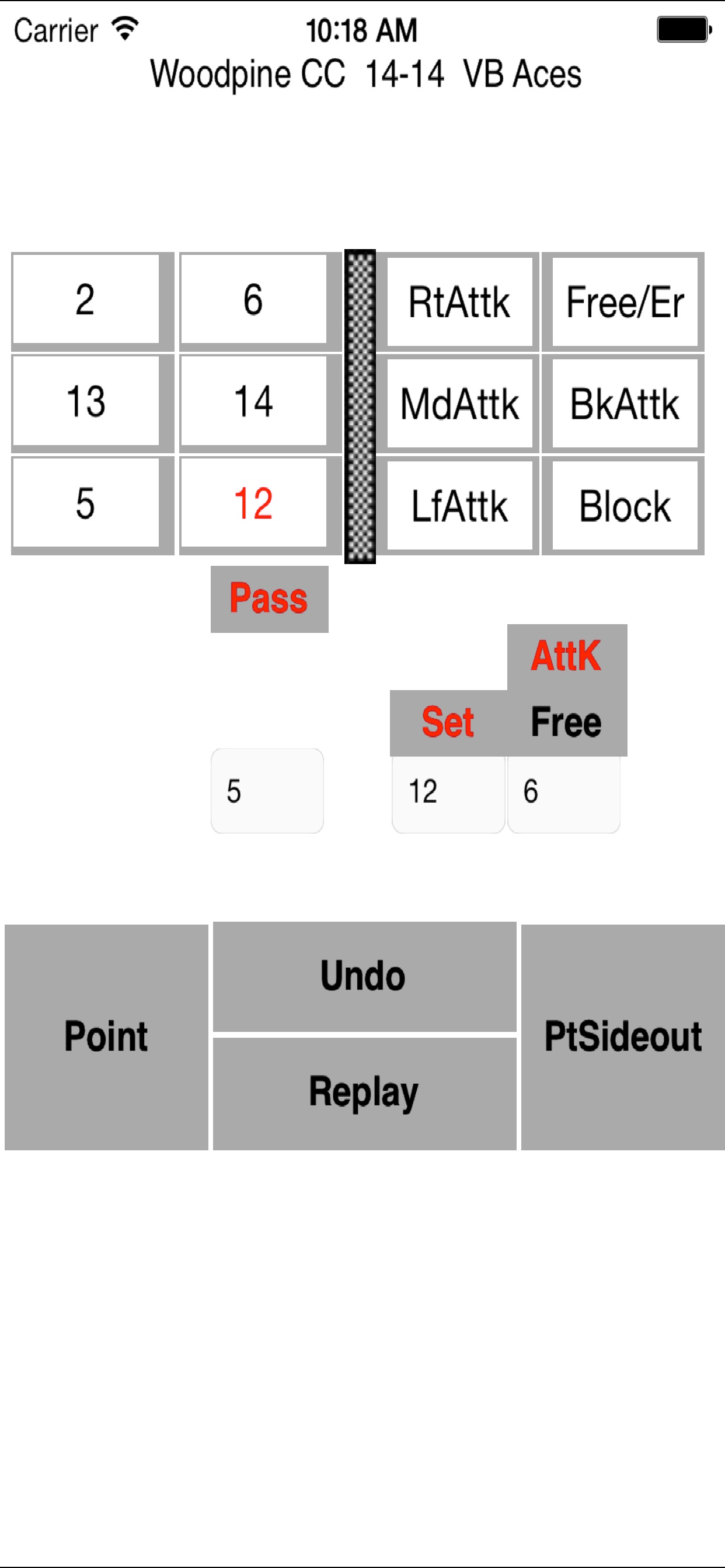 Volleyball Ace Stats
