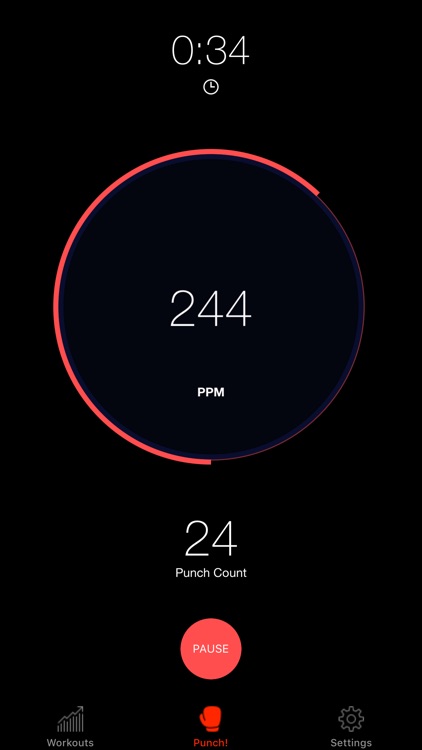 Speed Bag Boxing Trainer screenshot-0