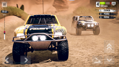 Rally Race: Offroad Screenshot