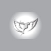 PW Church icon