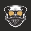 Barberdog сеть груминг салонов icon