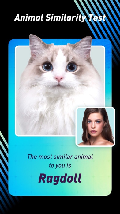 Bingo Cam - Cartoon Photo Screenshot