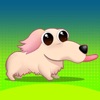 Tall Doge Puzzle- Survivor Dog icon