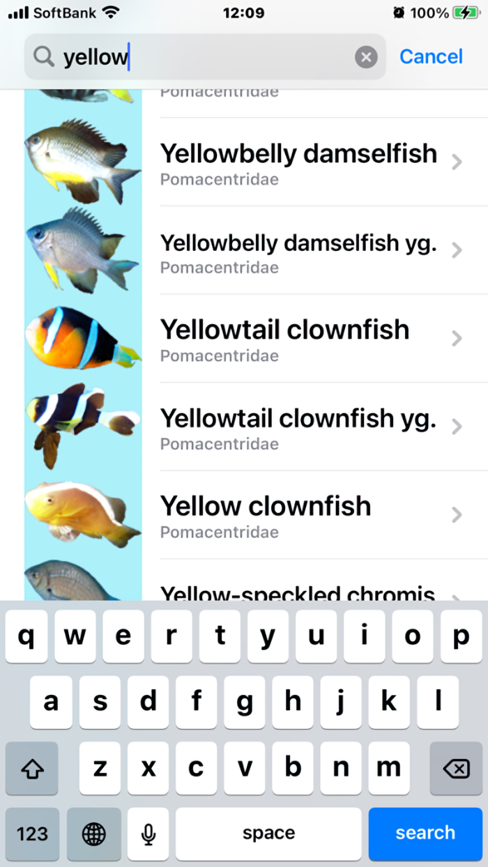 Fish Photo of OKINAWA