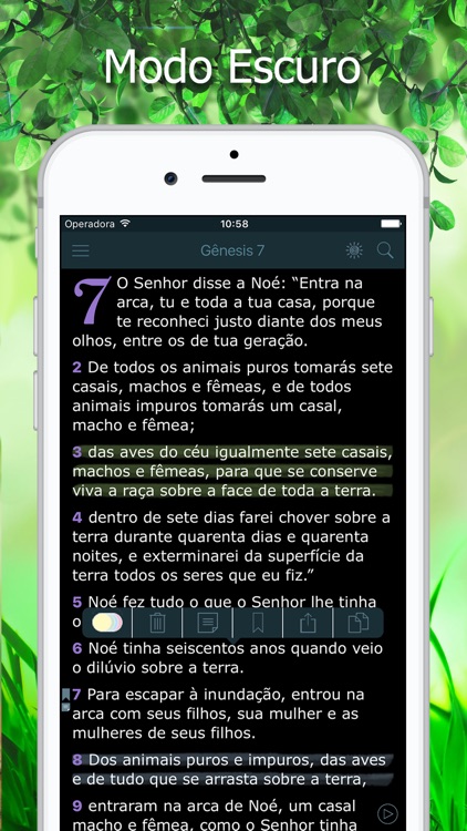 Bíblia Ave Maria de Estudo on the App Store