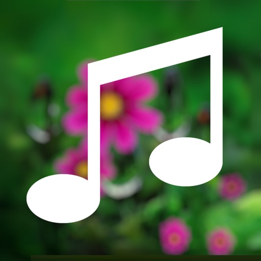 MYin Music, nice Chinese songs iOS App