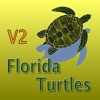Florida Turtles icon