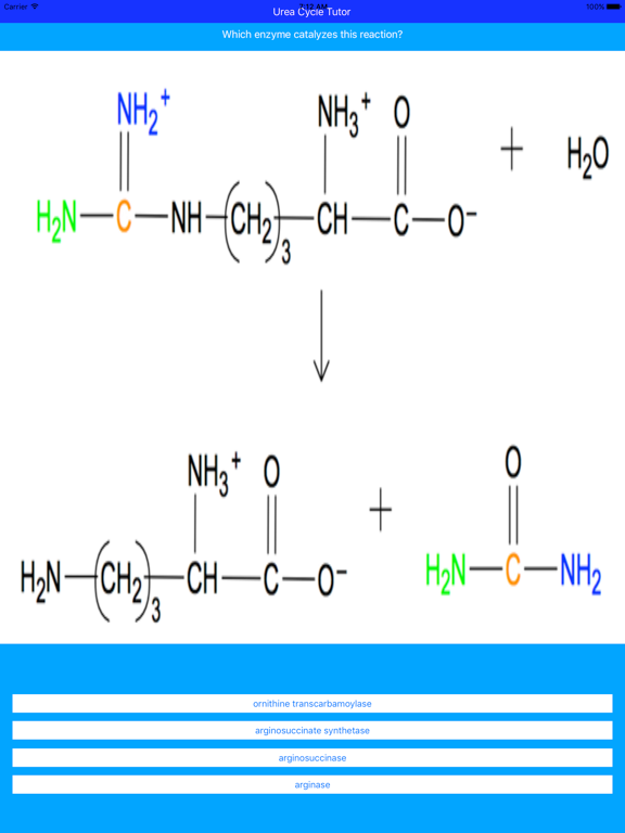 Screenshot #6 pour Urea Cycle Tutor