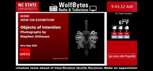 WolfBytes TV screenshot #4 for iPhone