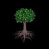 Organic Rootz icon