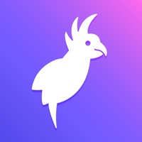Paperparrot app not working? crashes or has problems?