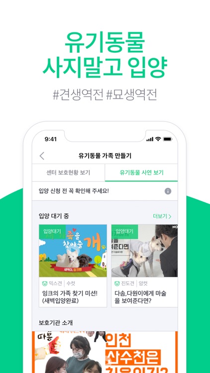 아지냥이 screenshot-4