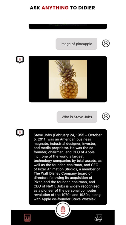Didier AI - Ask Anything screenshot-3