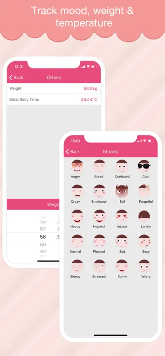 Period Log: Screenshot 4 von 5