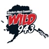 Wild 94.3 FM icon