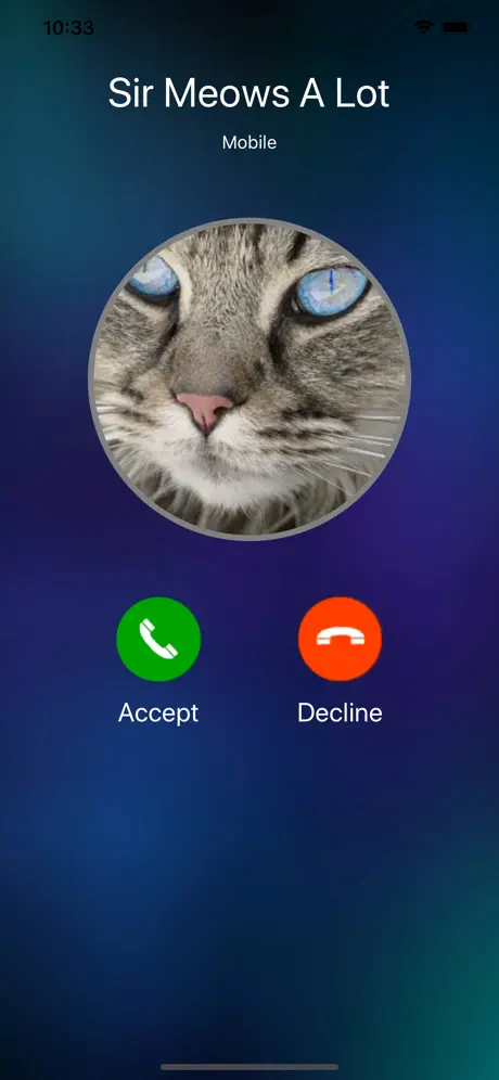 #1 Fake Call