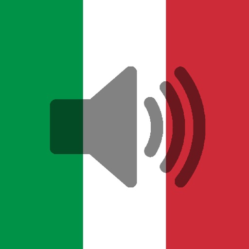 Italian Phrasebook (Travel)